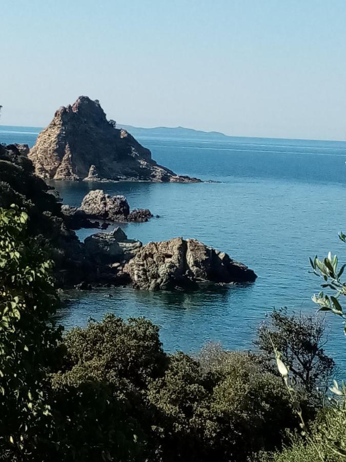 Laetitia Διαμέρισμα Porto Santo Stefano  Εξωτερικό φωτογραφία